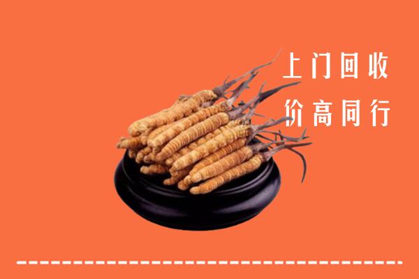南雄市回收散虫草