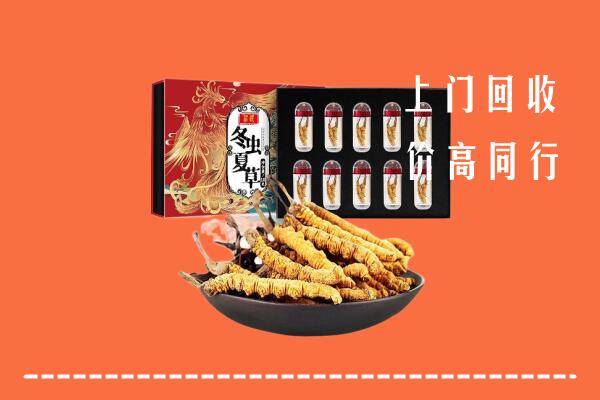 南雄市回收虫草